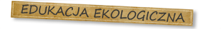 menu:edukacja